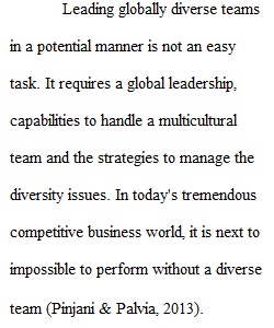 Module 6 Individual Assignment Leading Globally Diverse Teams